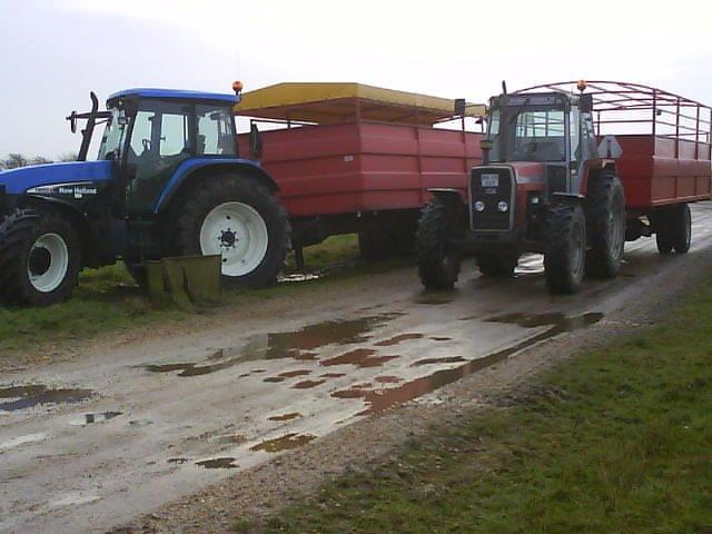 Massey Ferguson 699 - Mf699 foran lille gris vogn og New Holland Tm155 foran den store gris vogn. billede 17