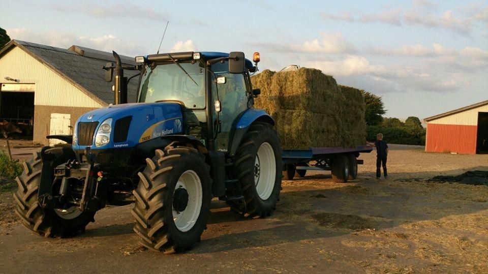 New Holland T6030 Delta (Solgt) billede 32