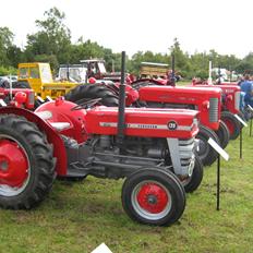 Massey Ferguson 135 Benzin