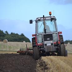 Massey Ferguson 675