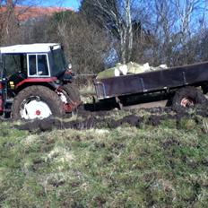 International Harvester 684