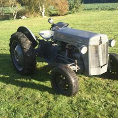Massey Ferguson 31  ( TEA20)