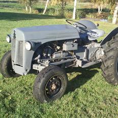 Massey Ferguson 31  ( TEA20)