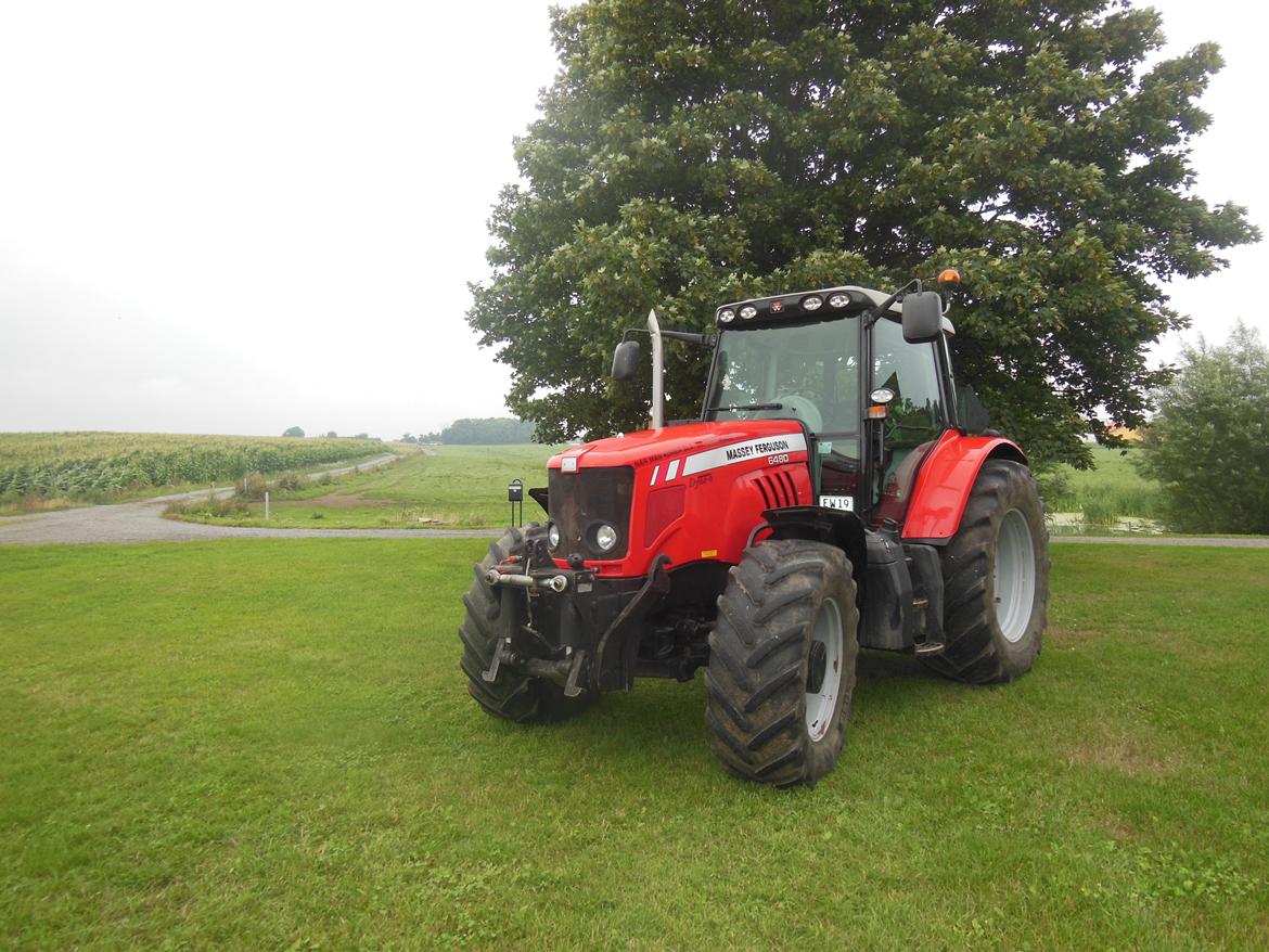 Massey Ferguson 6480 Dyna 6 billede 1
