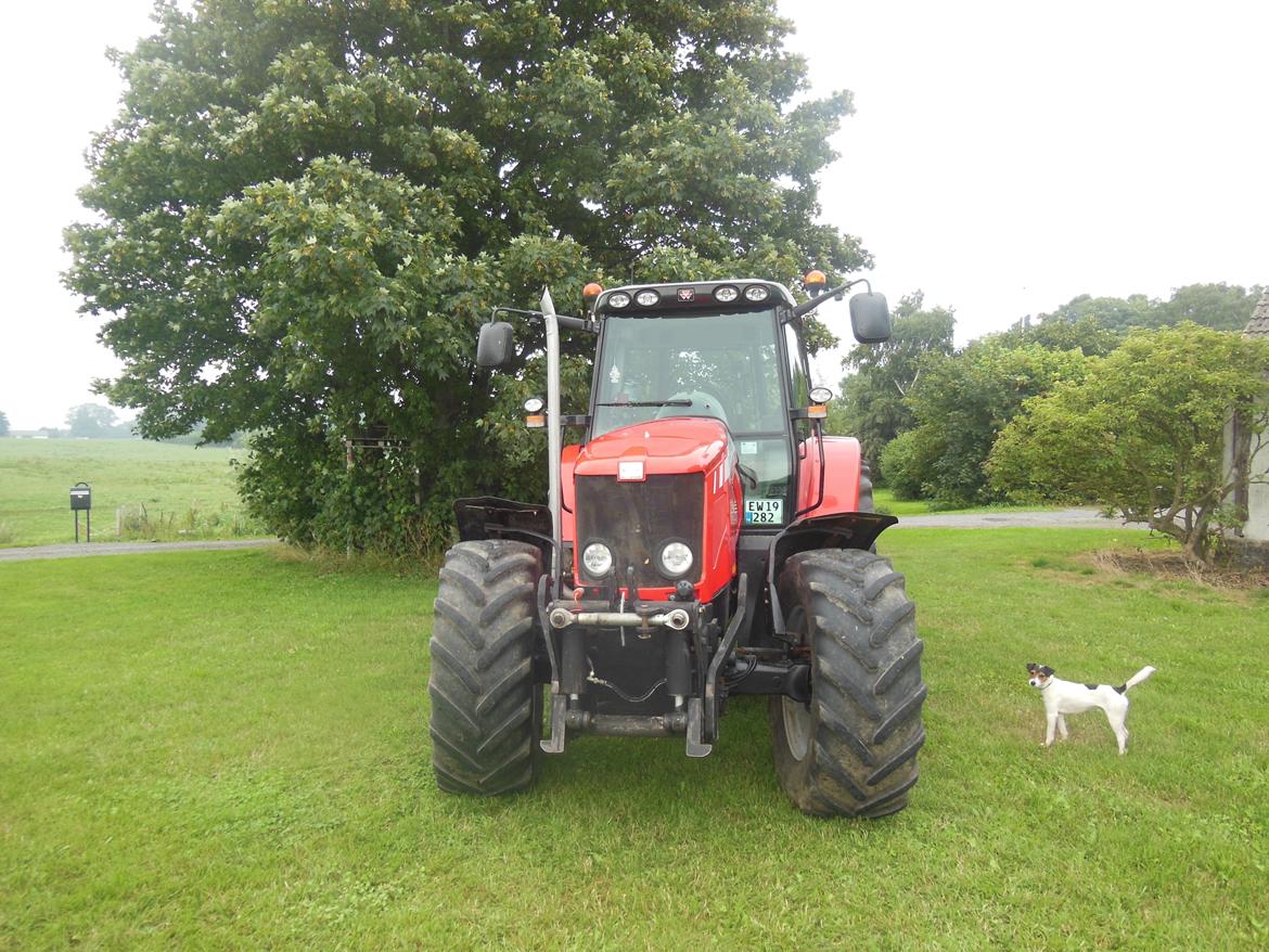 Massey Ferguson 6480 Dyna 6 billede 2