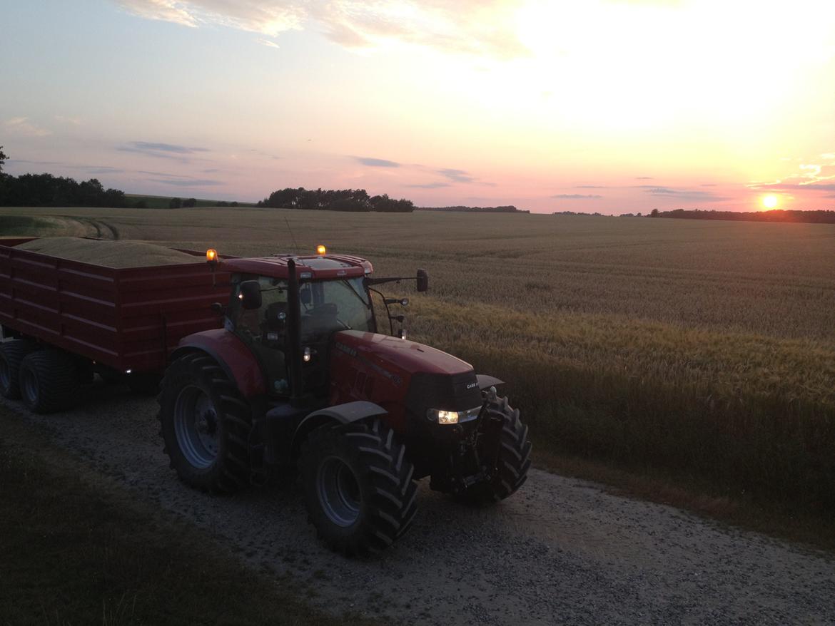 Case IH Case Ih Puma cvx 185 - Puma'en en sen sommeraften med en fantastisk solnedgang i baggrunden - Billedet er i øjeblikket coverbillede på facebooksiden "landbrugsbilleder" billede 1