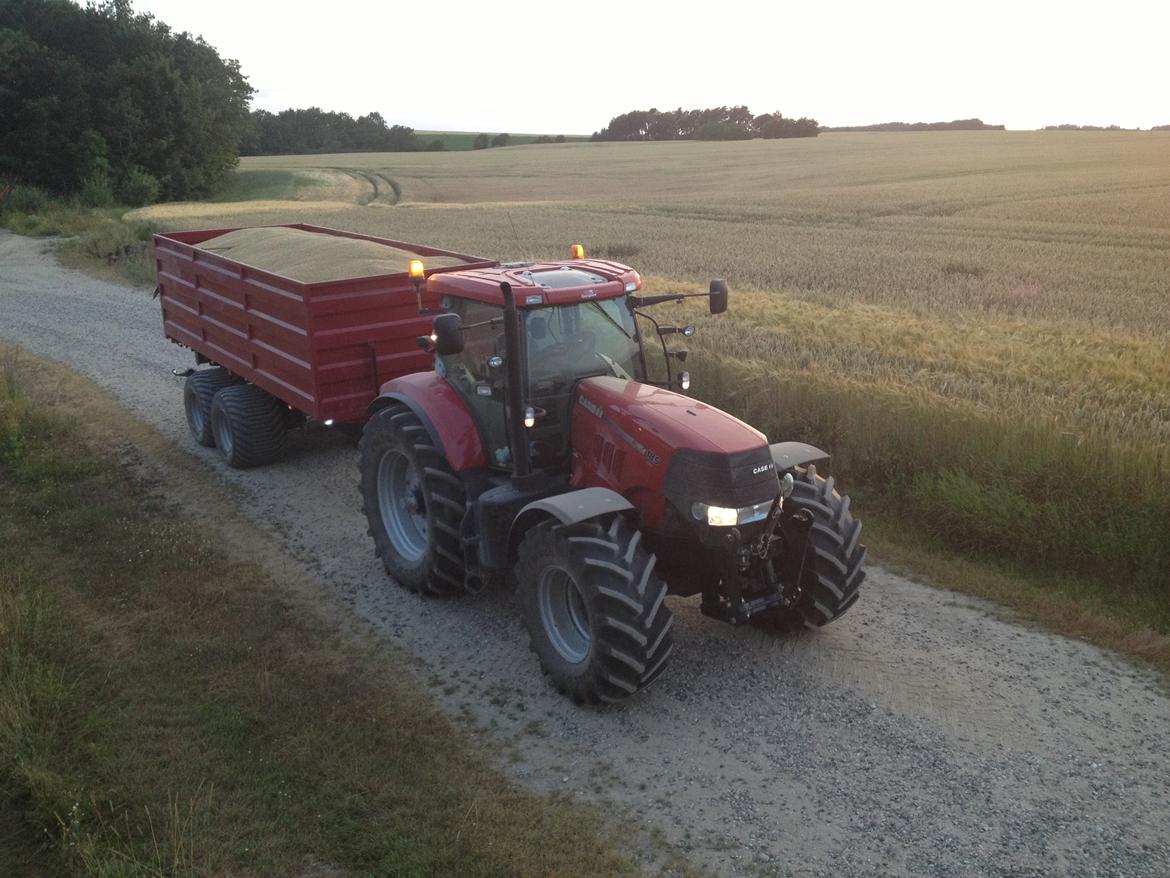 Case IH Case Ih Puma cvx 185 - Igen et billede af korntrækket. Jeg synes den røde 18 tons tipvogn og puma'en er et perfekt match. 
 billede 2