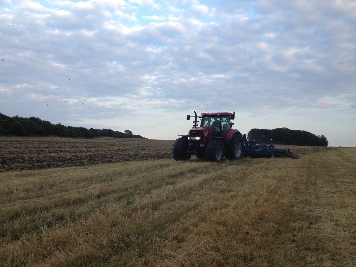 Case IH Case Ih Puma cvx 185 - min far kørte lige og tallerkenharvede en frøgræs mark som vi høstede et par dage før.
Dalboen laver et fantastisk arbejde!  billede 17