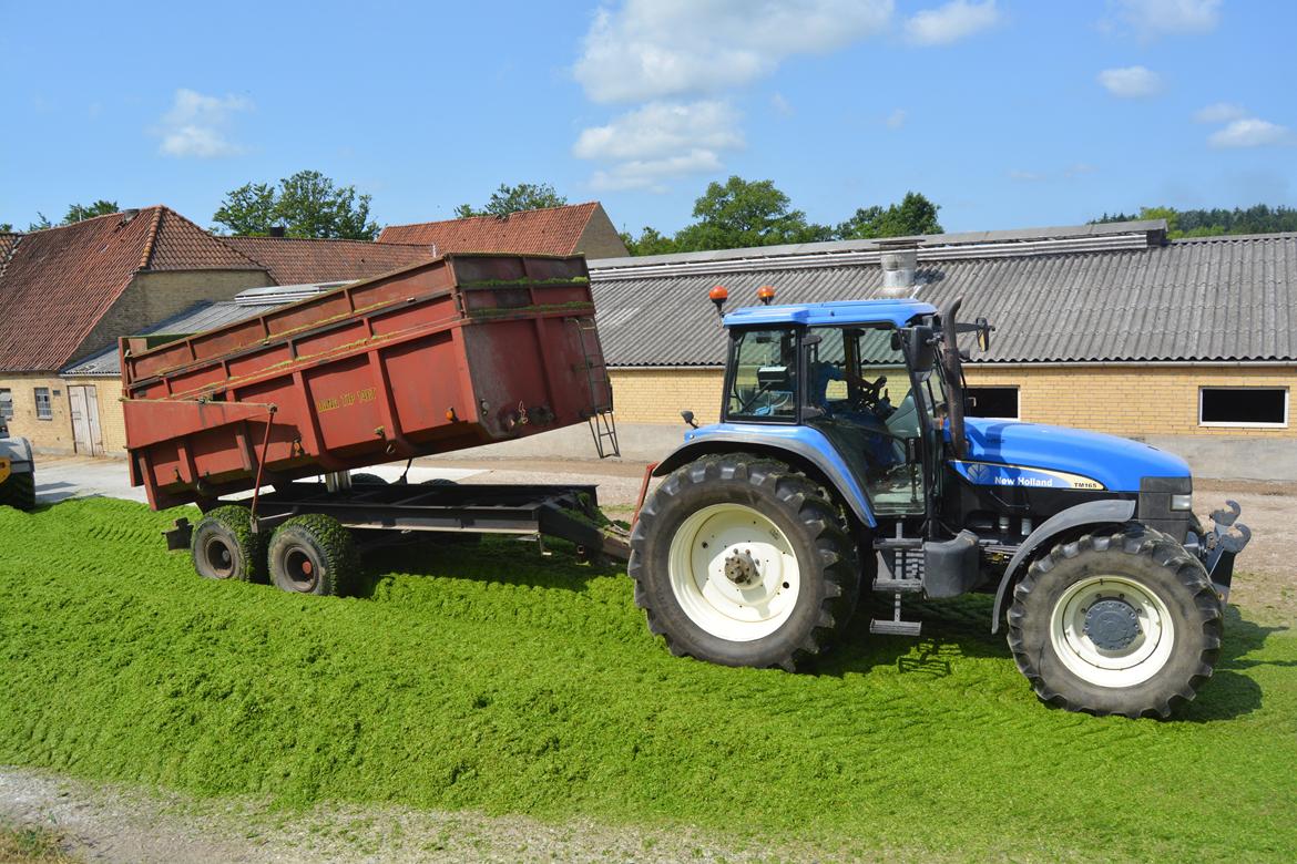 New Holland TM165 billede 20