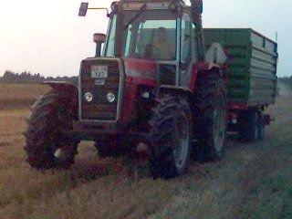 Massey Ferguson 699 billede 3
