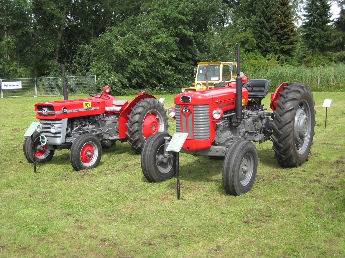 Massey Ferguson 135 Benzin - 135eren ved siden af brormands 65er!  billede 10