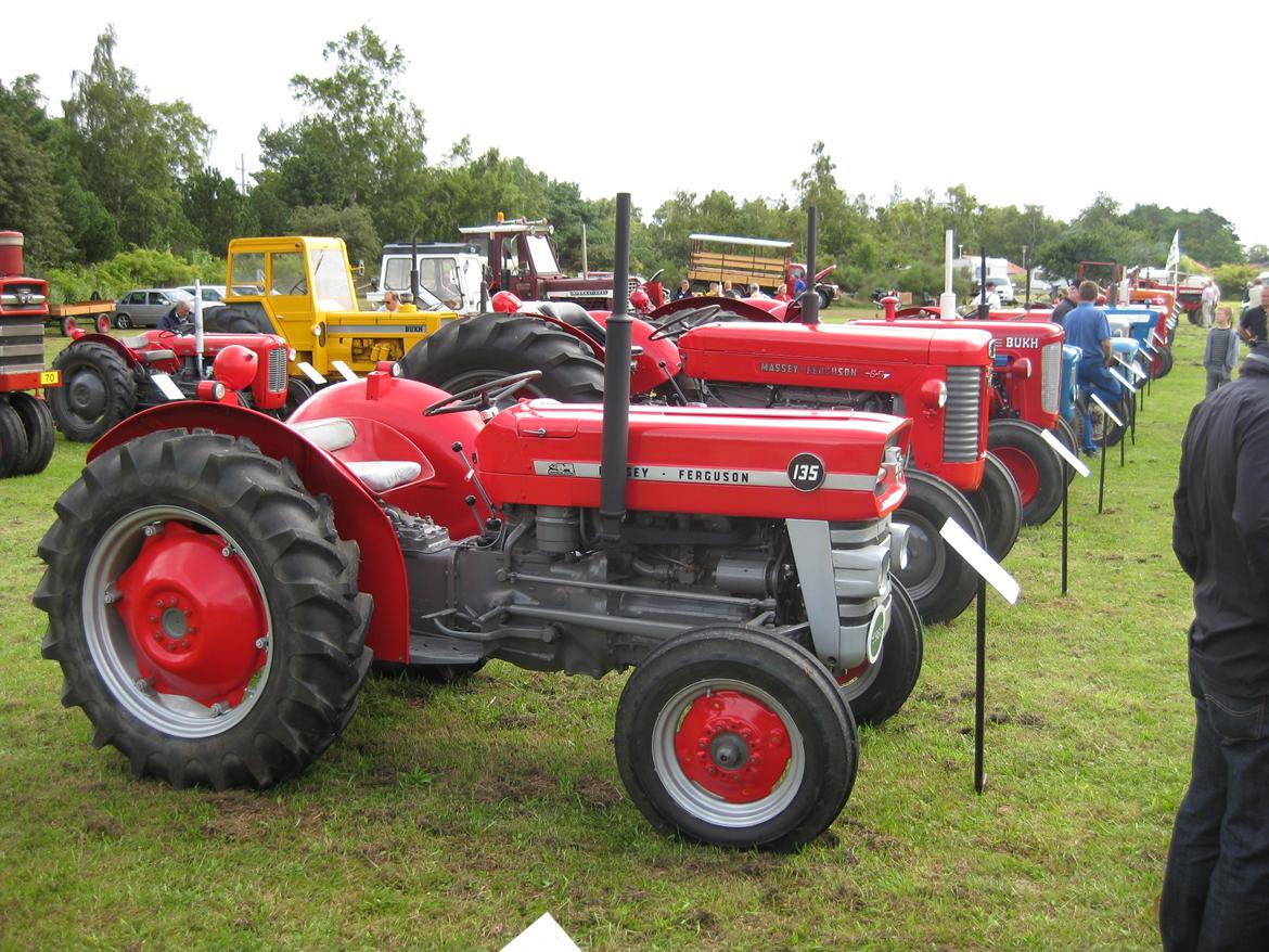 Massey Ferguson 135 Benzin billede 1