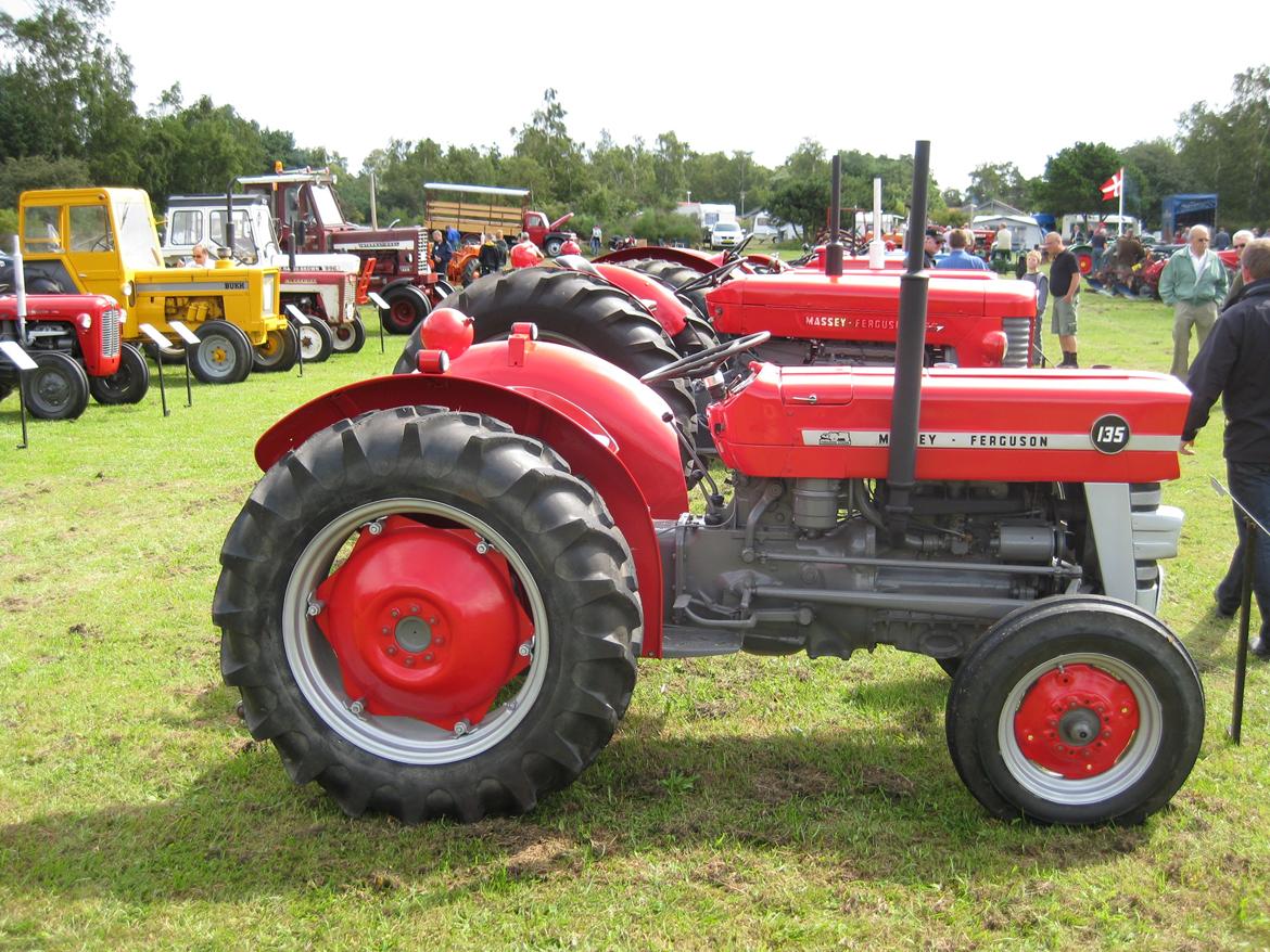 Massey Ferguson 135 Benzin - Veterantræf 2009. billede 9