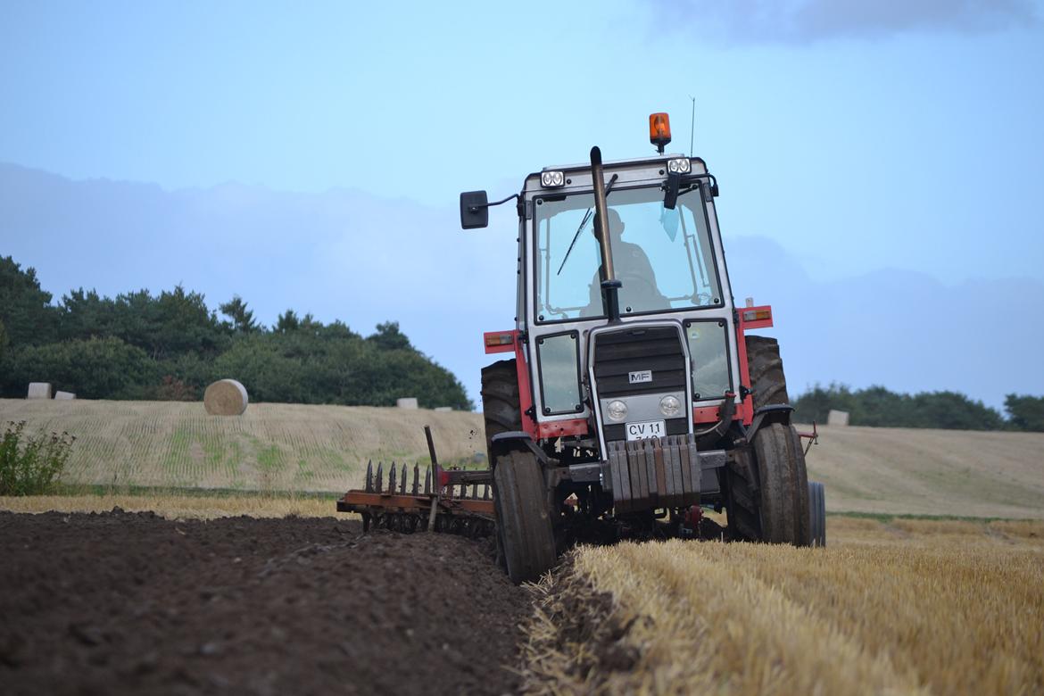 Massey Ferguson 675 billede 3