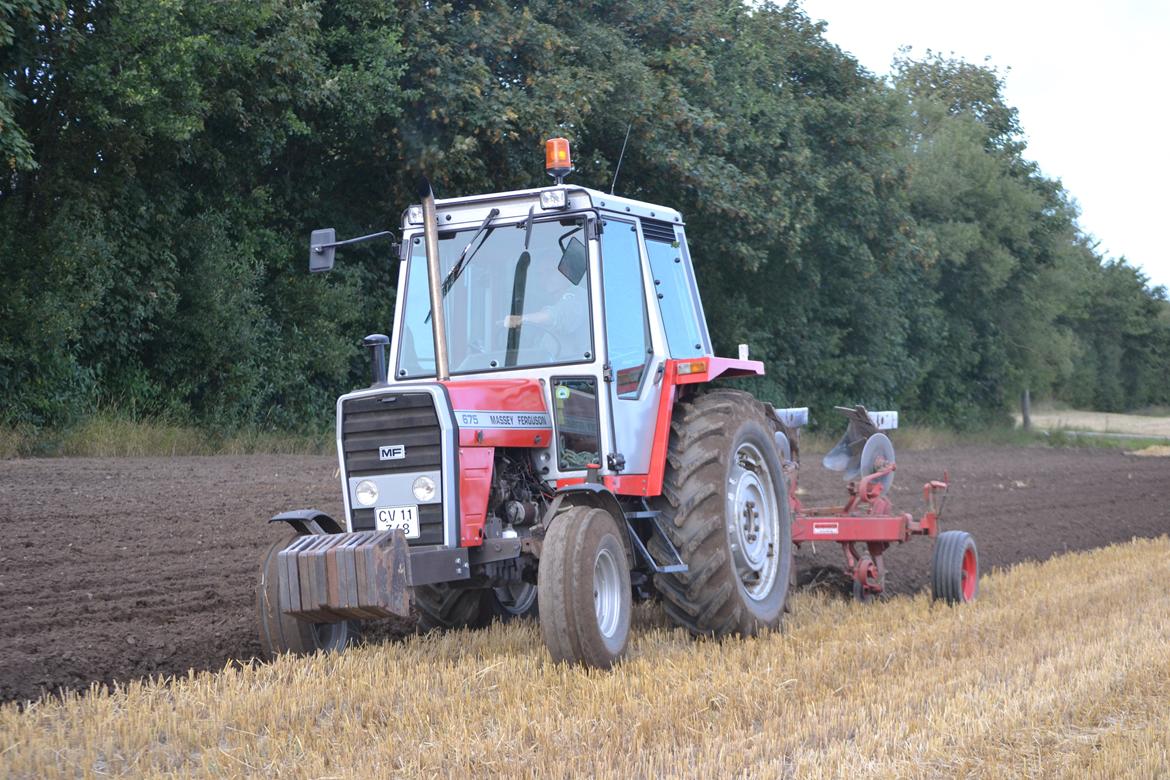 Massey Ferguson 675 billede 4