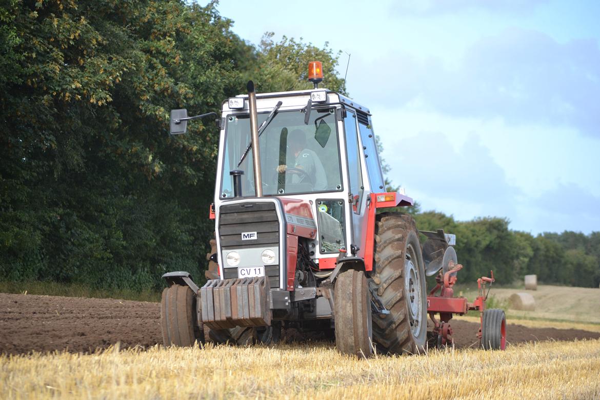 Massey Ferguson 675 billede 1