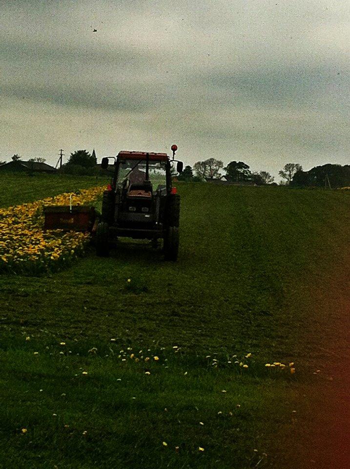 Massey Ferguson 390 billede 9