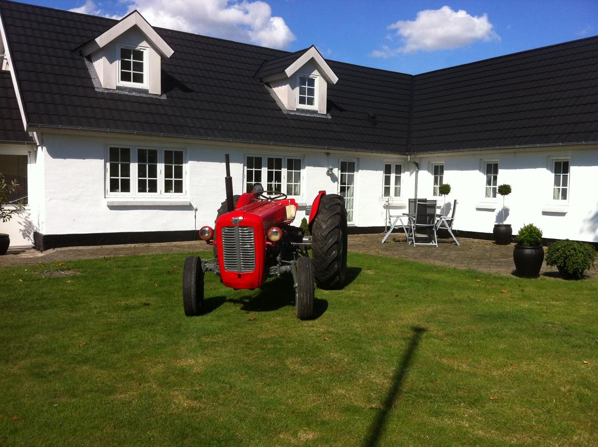 Massey Ferguson FE 35 Benzin billede 7