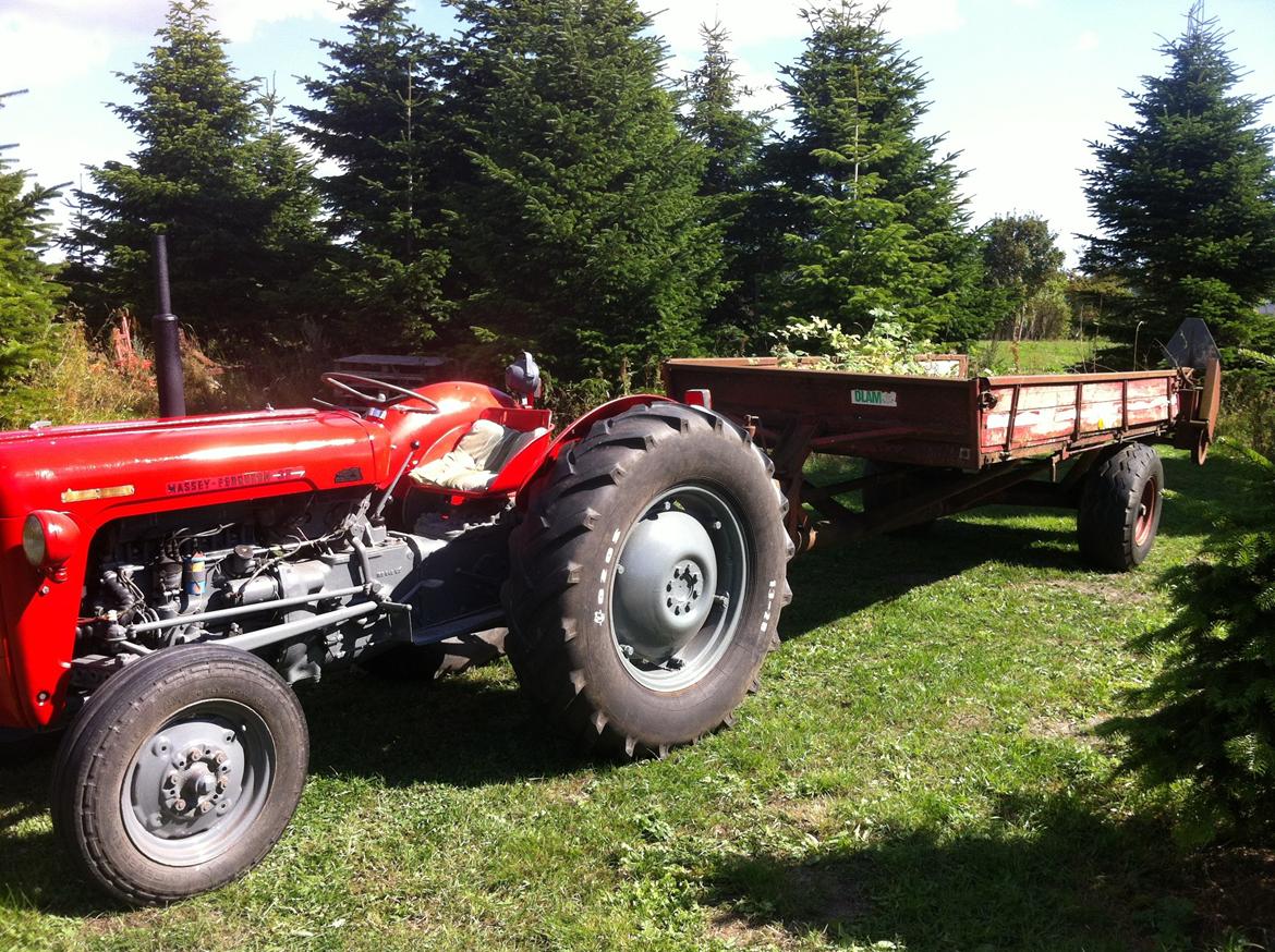 Massey Ferguson FE 35 Benzin billede 26