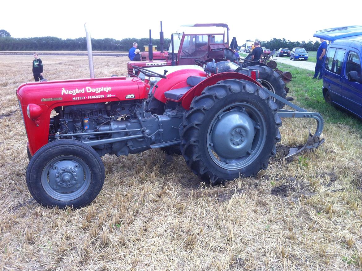 Massey Ferguson FE 35 Benzin billede 2