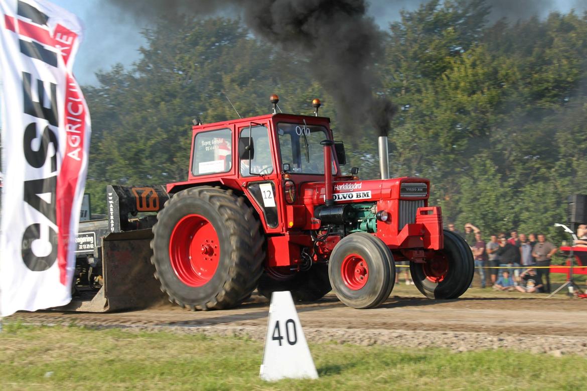 Volvo BM 810 "ODA" - Vinkel 2013 billede 4