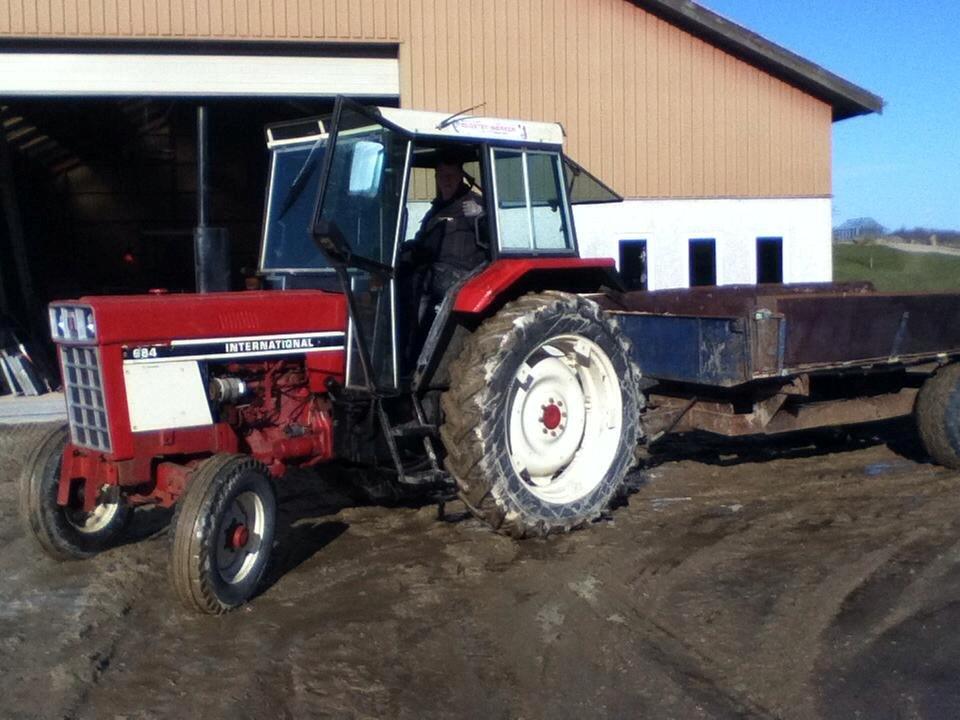 International Harvester 684 - Dagen efter jeg fik den :D skulle jo igang for sjov så jeg trillede lidt træ. billede 1