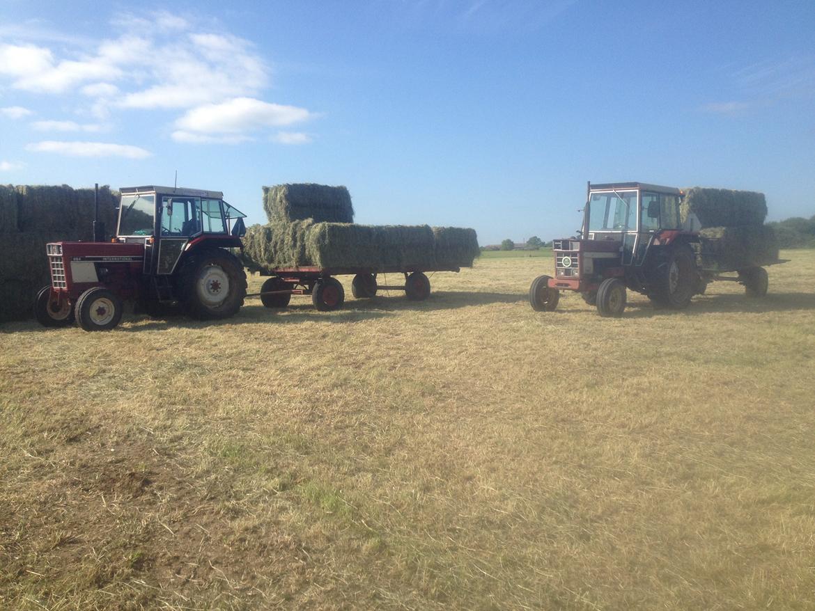 International Harvester 684 - Da jeg skulle hjælpe Gråsten rideskole med at køre wrap sammen da de ikke kunne holde wrapperen til med deres egen IH 644 :) billede 11