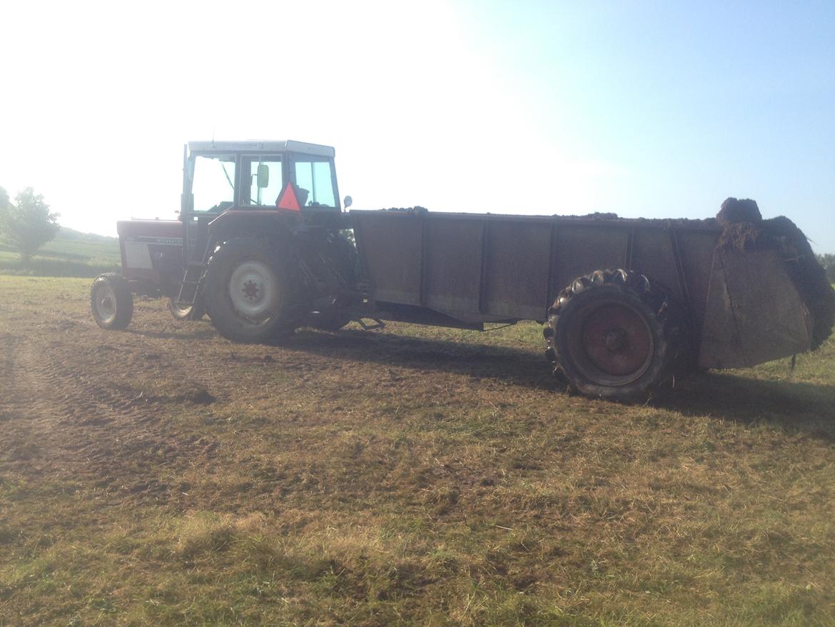 International Harvester 684 - hele sættet :) det æ bor dæjlæ :P billede 13