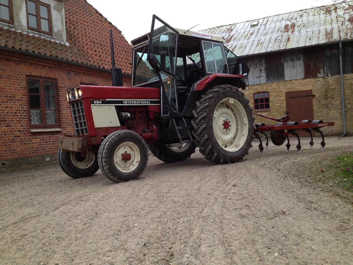 International Harvester 684 - Skulle ud og harve nogle rødder op :) billede 22