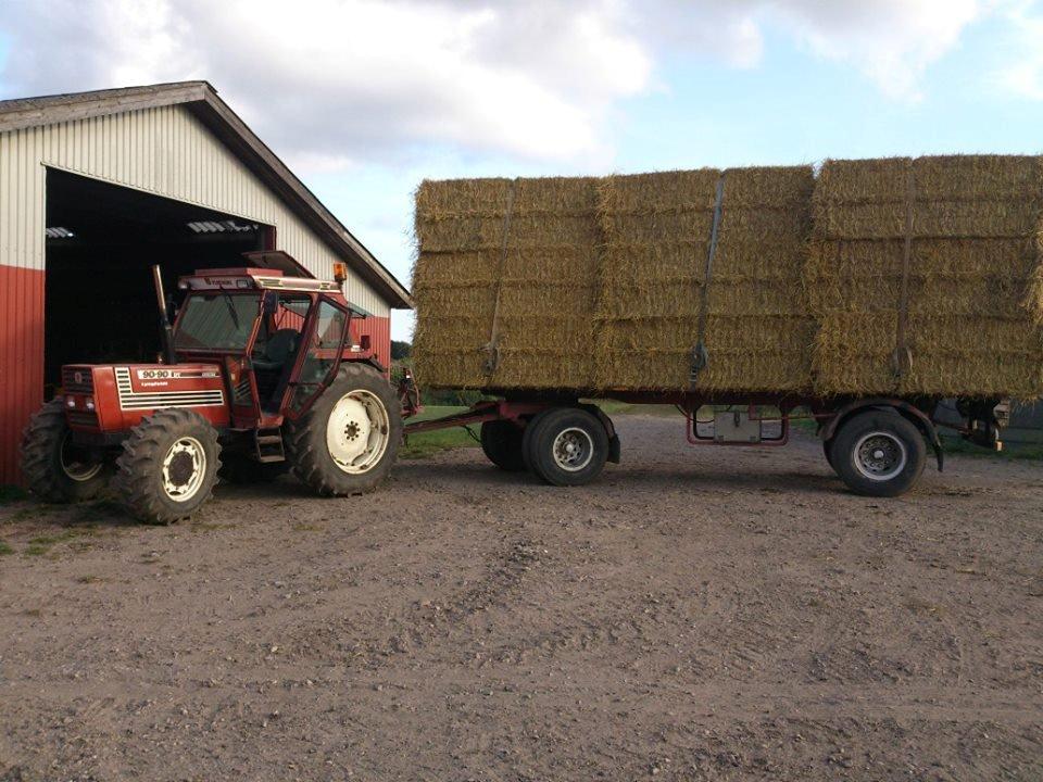 Fiat 90-90 DT - Det er ikke sorn når T6030'eren kører med vores vogn, TM'eren skal læsse. Så må Fiaten på arbejde :P Halmet skulle jo hjem inden der kom vand ;) billede 7