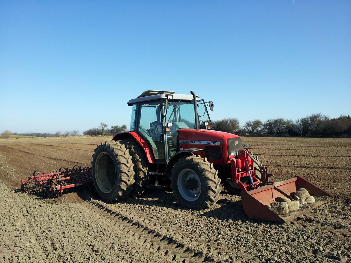 Massey Ferguson 4255 - primoplex såbedsharve billede 1