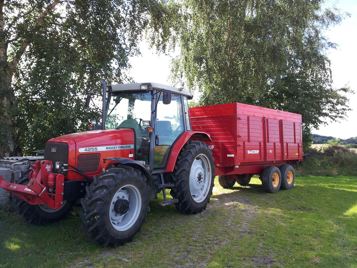 Massey Ferguson 4255 billede 3