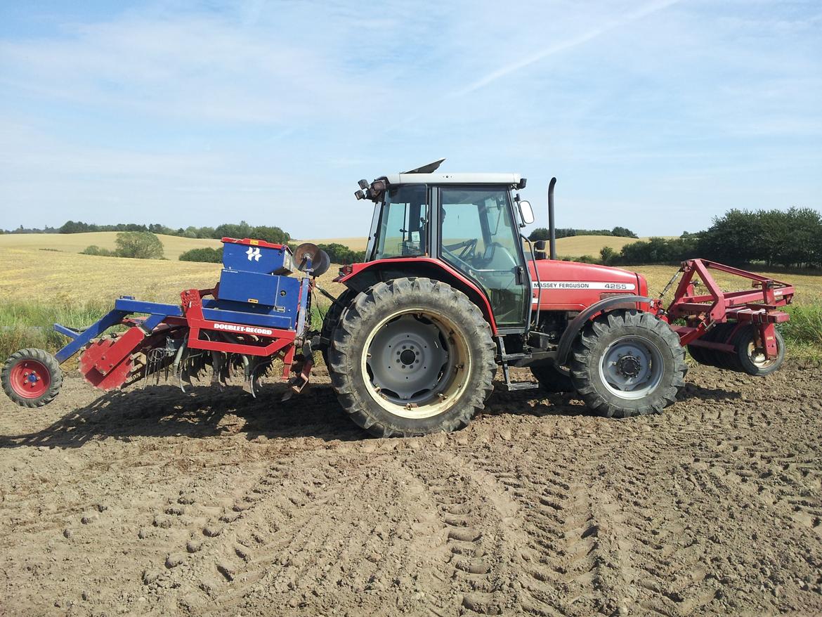 Massey Ferguson 4255 - 3 meter Nordsten-doublet record kultiseeder, og Heva hjulpakker i fronten. billede 4