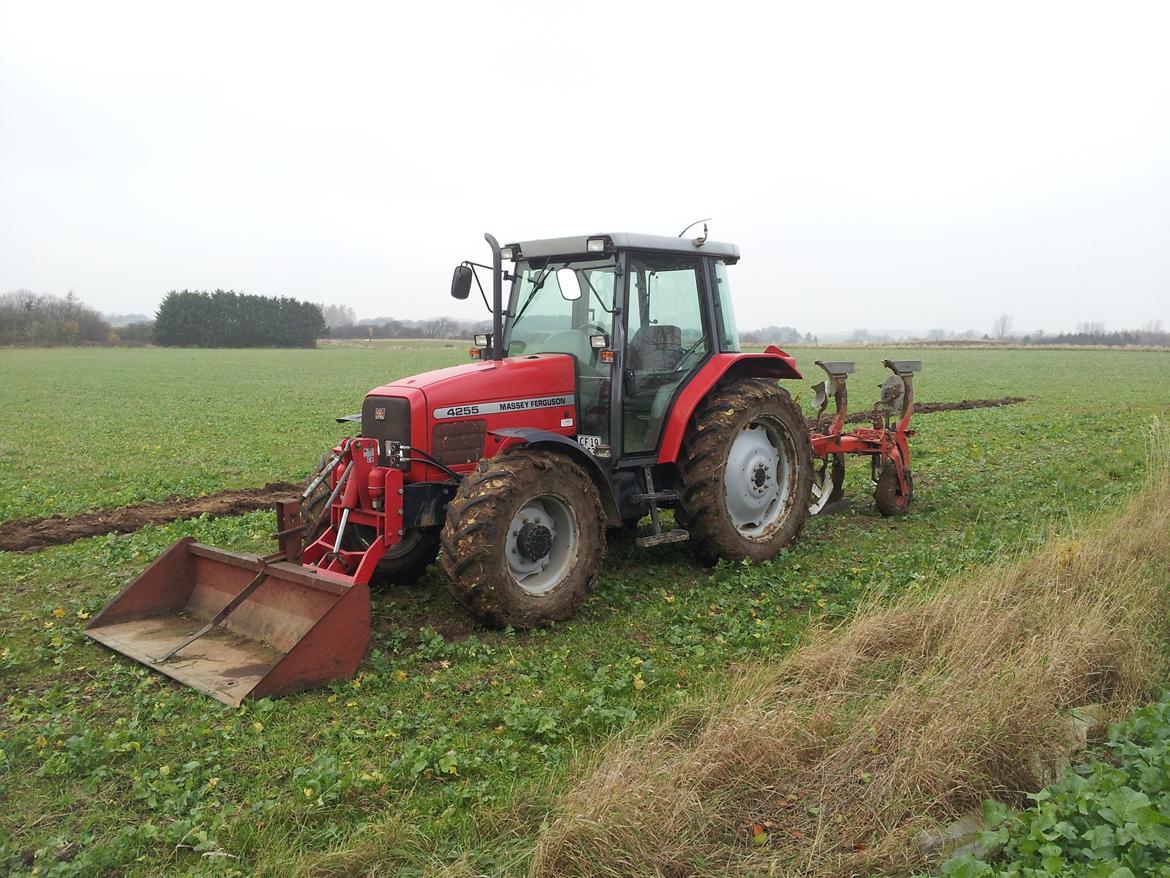 Massey Ferguson 4255 billede 5