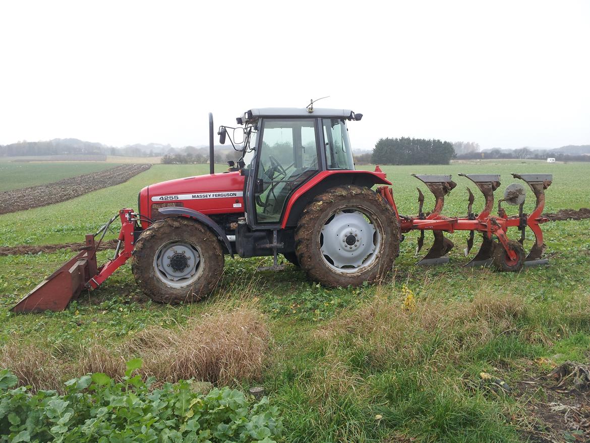 Massey Ferguson 4255 - 3 furet fraugde plov billede 6