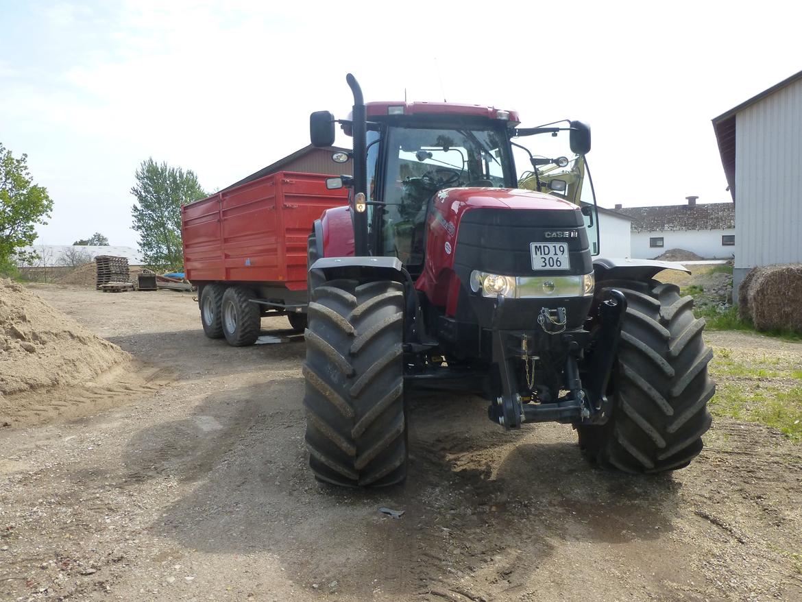 Case IH Puma cvx 230 - Lige efter vi havde hentet traktoren skulle jeg ud og køre korn billede 14