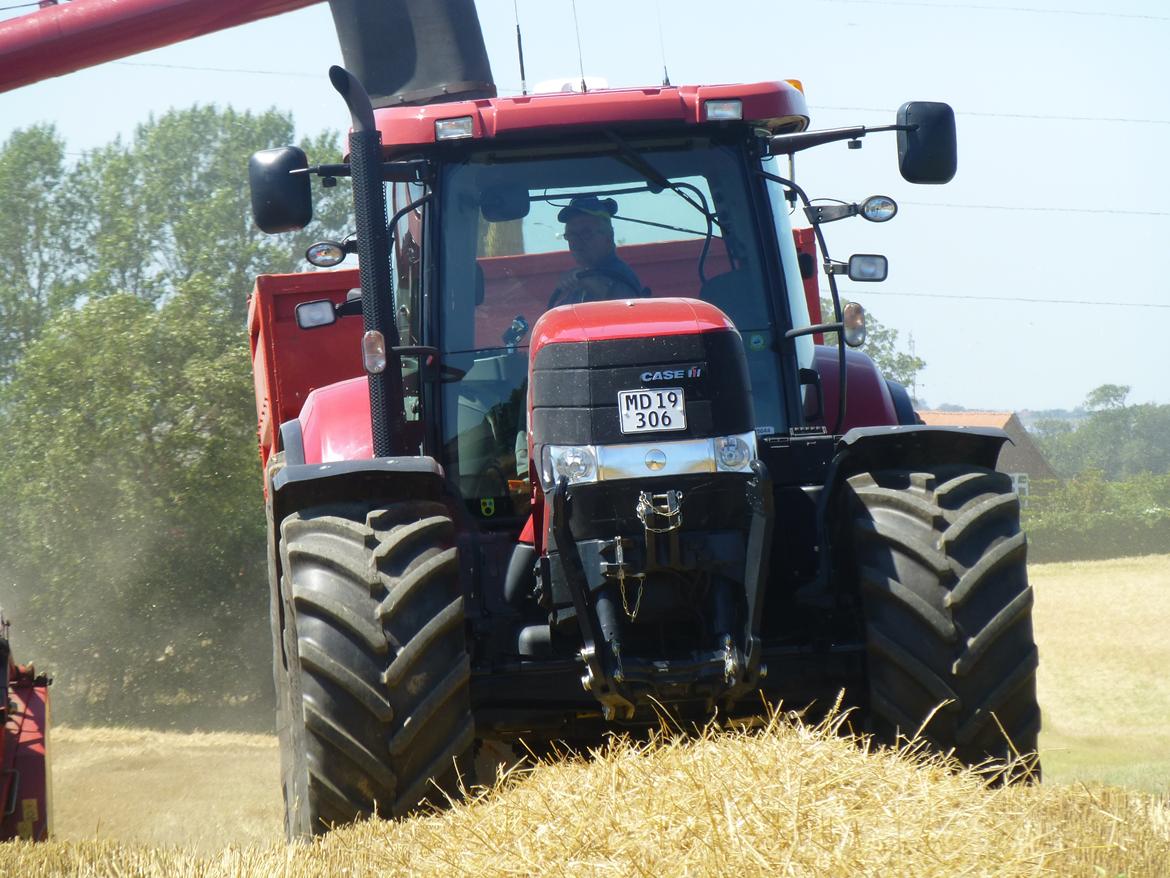 Case IH Puma cvx 230 - første dag vores ældste medarbejder på 74 år, kørte med vores dejlige case billede 16