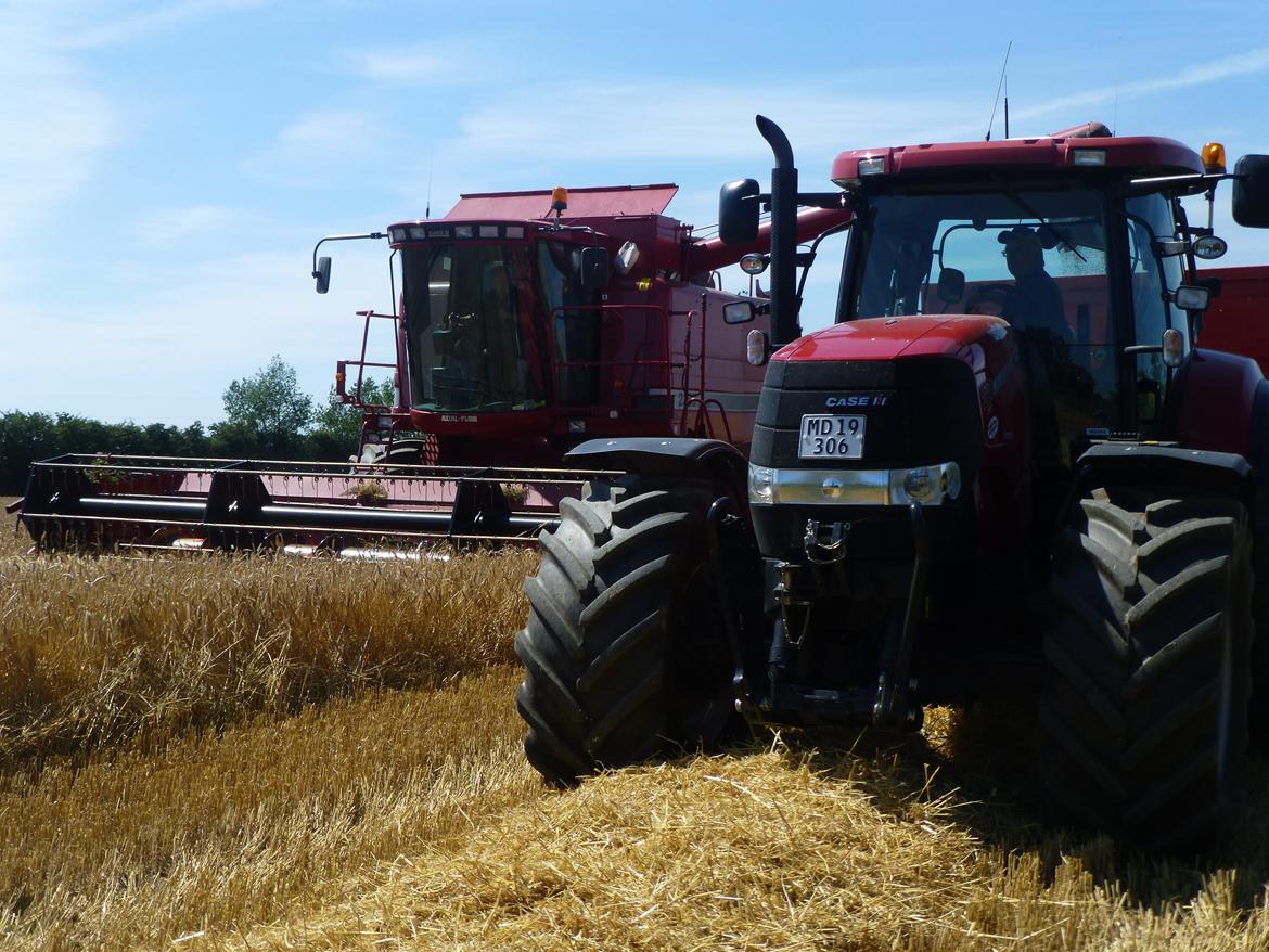 Case IH Puma cvx 230 - endnu et billede fra høsten  billede 17