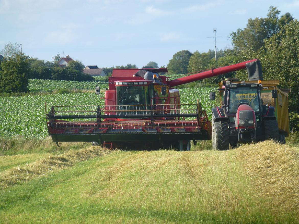 Valtra T 191 billede 12