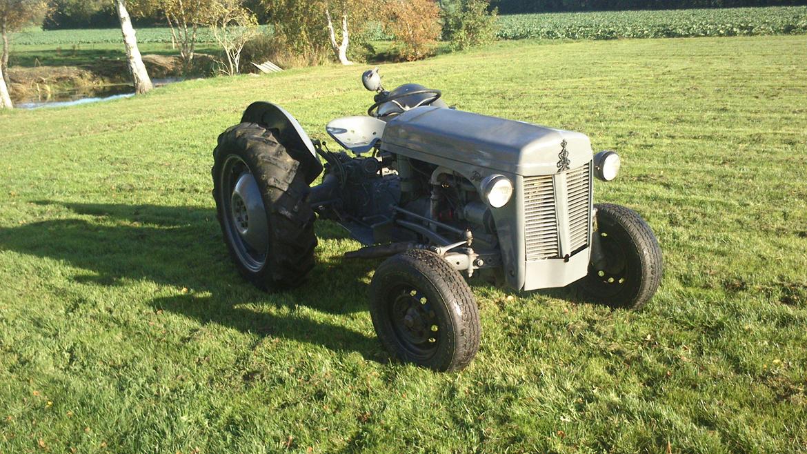 Massey Ferguson 31  ( TEA20) billede 1