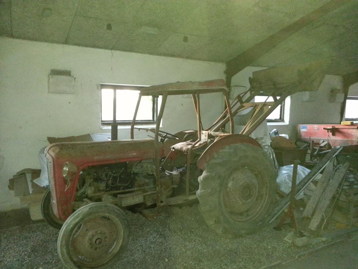 Massey Ferguson 35 - Som den stod i den gamle stald hvor jeg købte den, hvor den har stået stille i en del år billede 1
