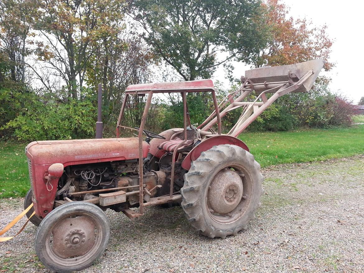 Massey Ferguson 35 - Ude i dagslys.. billede 2