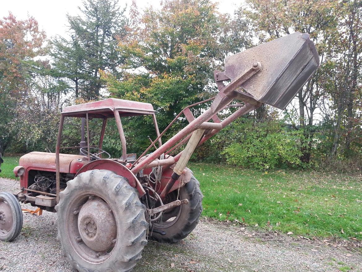 Massey Ferguson 35 - Jøla baglæsser billede 3