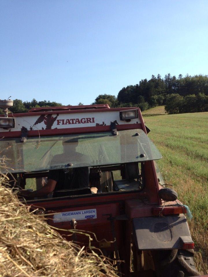 Fiat 80-90 HI-LO billede 22