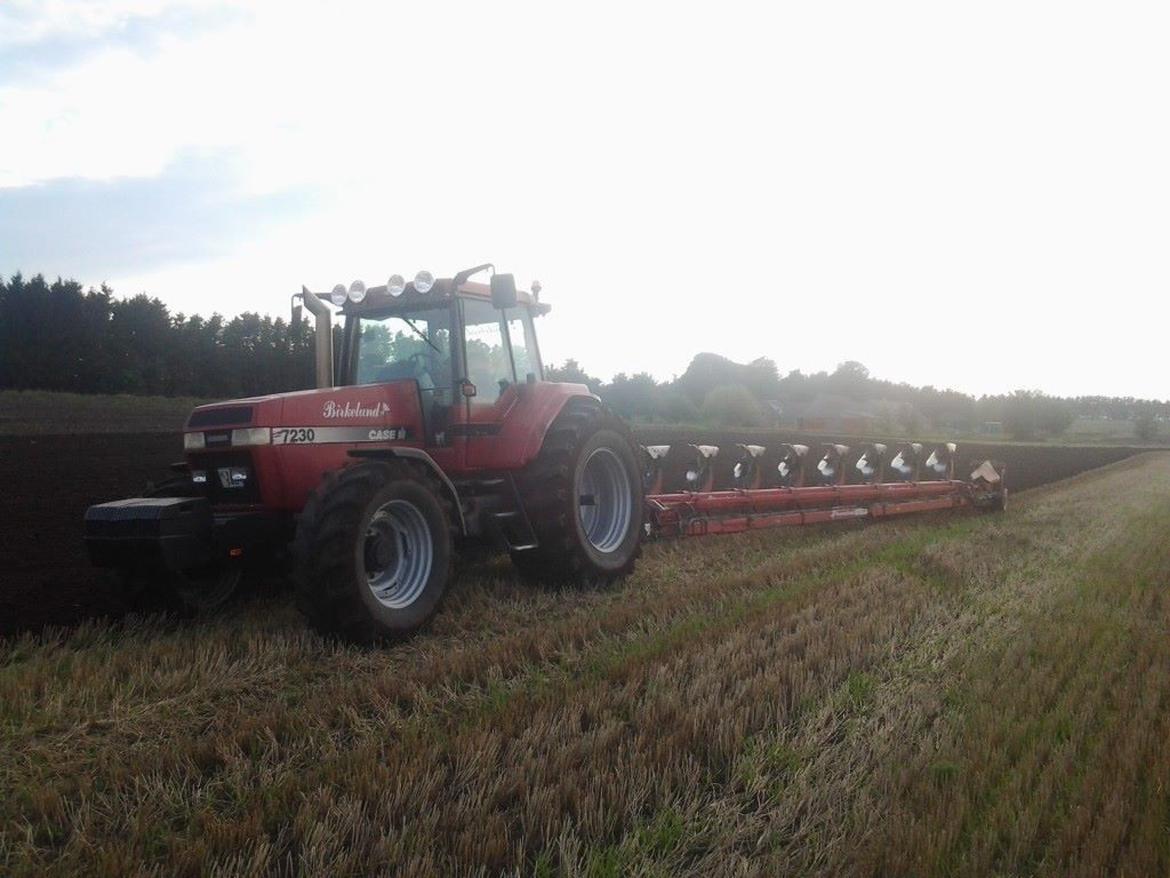 Case IH Magnum 7230 billede 17