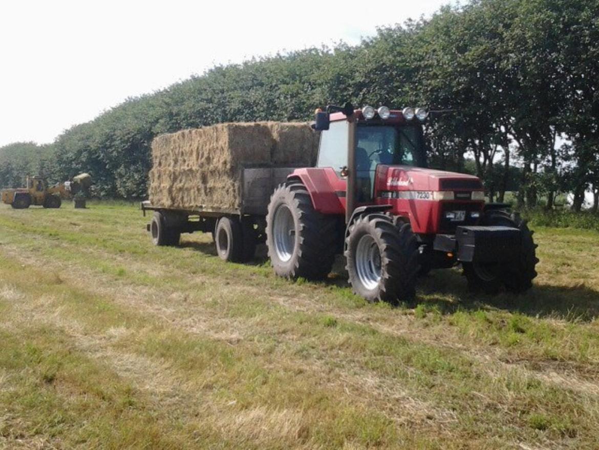 Case IH Magnum 7230 billede 19