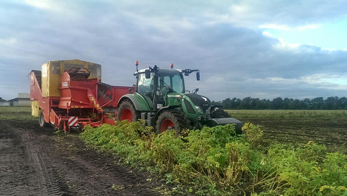 Fendt 724 Profi Plus billede 22