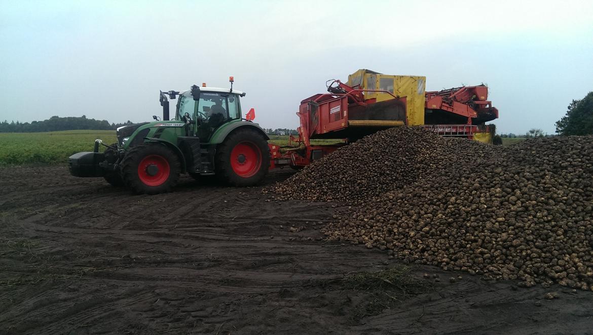 Fendt 724 Profi Plus - Køre i stak til direkte levering  billede 23