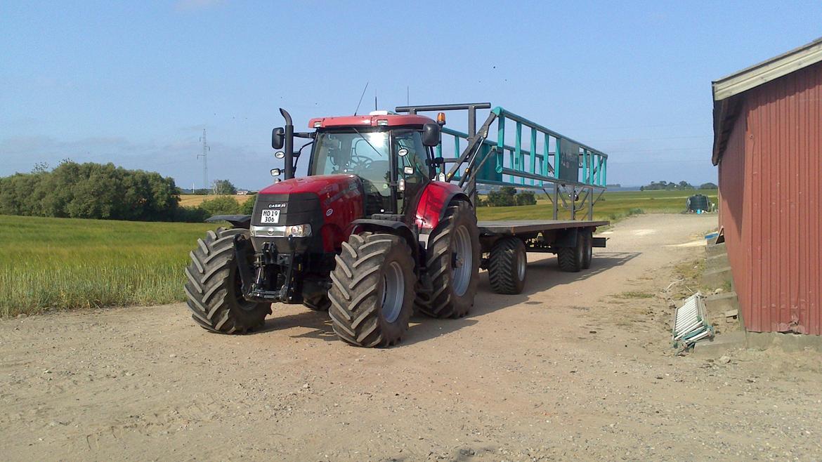 Case IH Puma cvx 230 - vi lånte en krassort ballevogn den kørte satme godt  billede 24