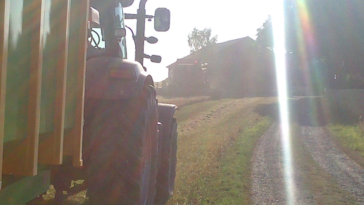 Case IH Puma cvx 230 billede 29